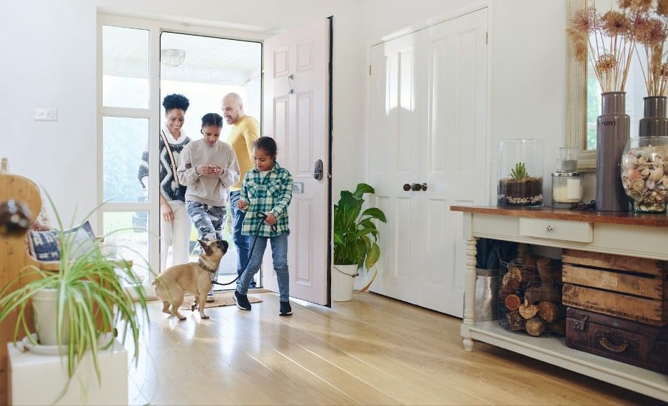 The Lockly Vision Elite in a home with pets.